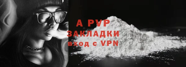 мяу мяу мука Абаза