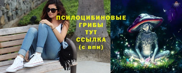 крисы Абдулино