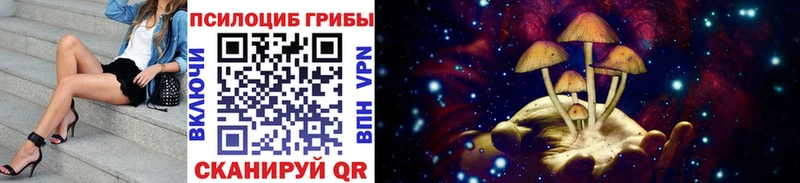наркота Южа Галлюциногенные грибы ЛСД